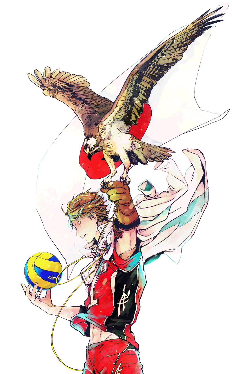 id=51504479.png