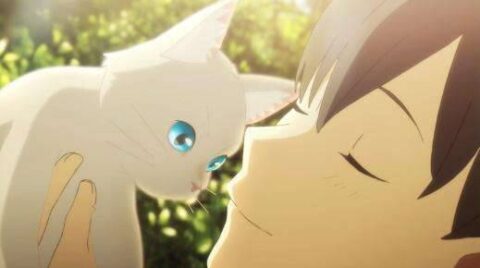 《想哭的我戴上了猫的面具》（泣きたい私は猫をかぶる）【1080p】