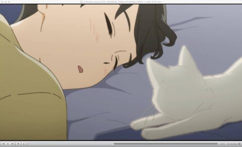 《想哭的我戴上了猫的面具》（泣きたい私は猫をかぶる）【1080p】