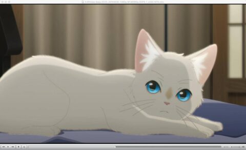《想哭的我戴上了猫的面具》（泣きたい私は猫をかぶる）【1080p】