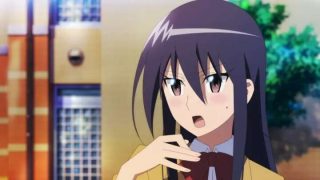 【剧场版】《妄想学生会2》（Seitokai Yakuin Domo）720p