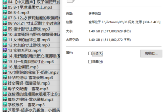 [ASMR] 闪亮银 芝恩正 还有个忘记叫啥了[30A/1.4GB]