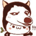 韬光养晦